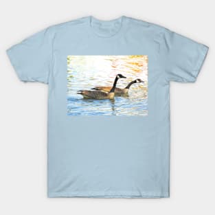 Canada Geese Pair No.4 T-Shirt